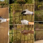 découvrez nos astuces simples et efficaces pour poser une canisse sur un grillage facilement et rapidement, tout en assurant une installation durable et esthétique.